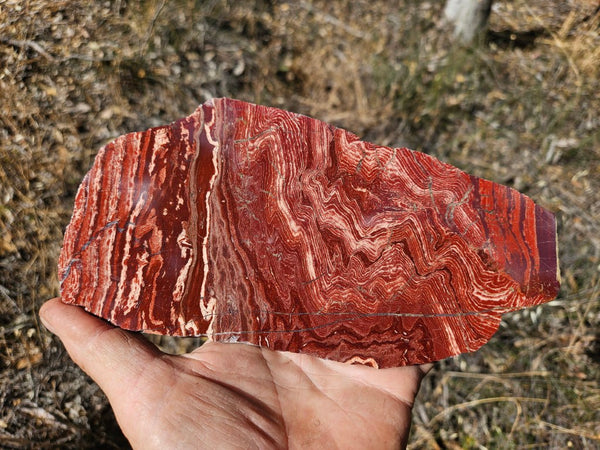 Polished  Snakeskin Jasper slab SS192