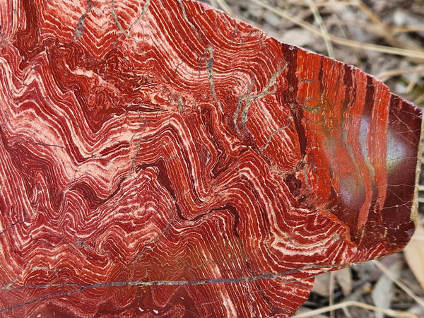 Polished  Snakeskin Jasper slab SS192