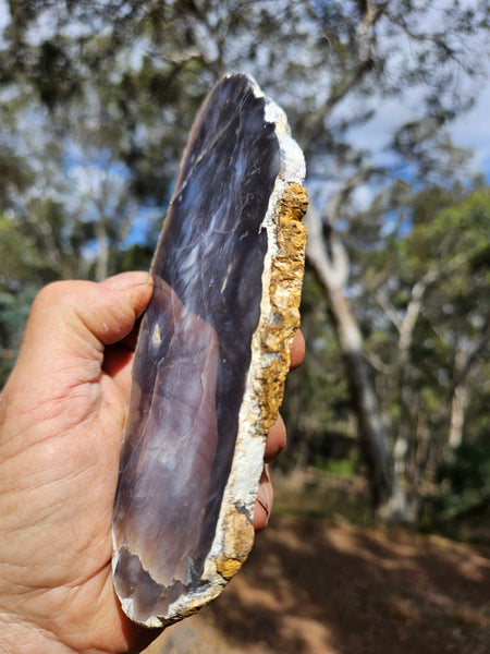 Purple Chalcedony polished slab. PU143