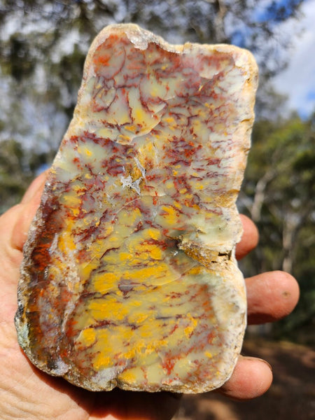 Polished Dendritic Opal DO213