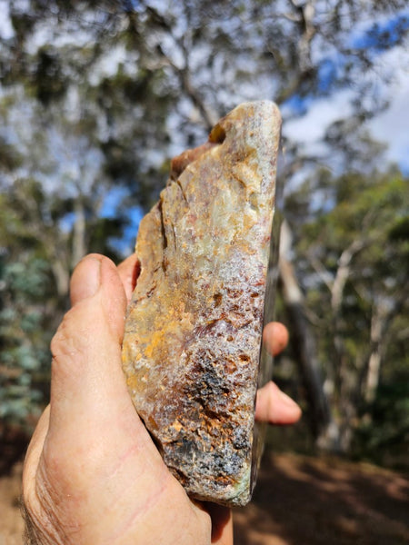 Polished Dendritic Opal DO213