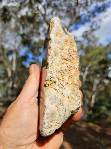 Polished Dendritic Opal DO213