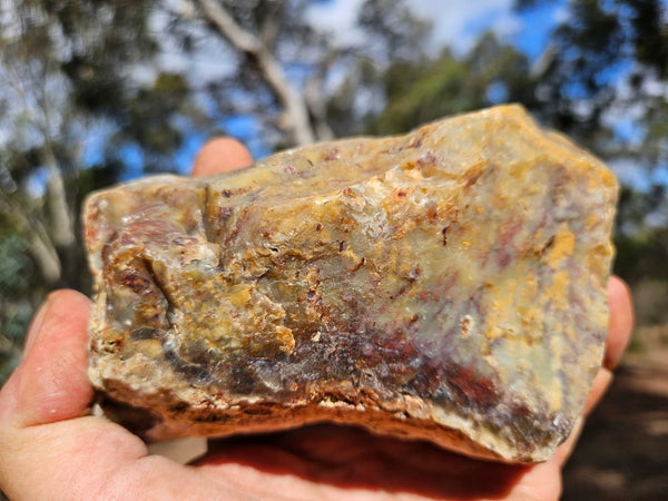 Polished Dendritic Opal DO213