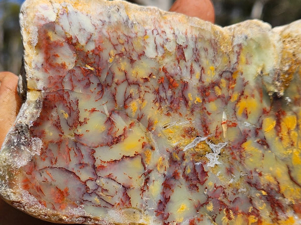 Polished Dendritic Opal DO213