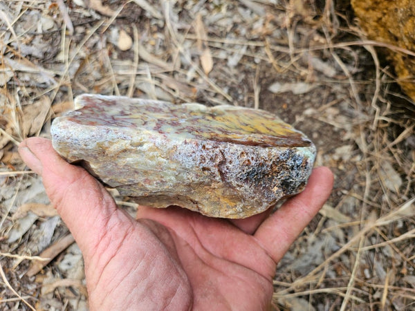 Polished Dendritic Opal DO213