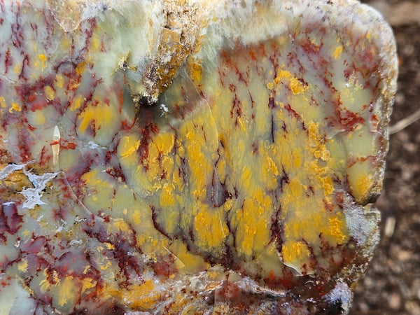 Polished Dendritic Opal DO213