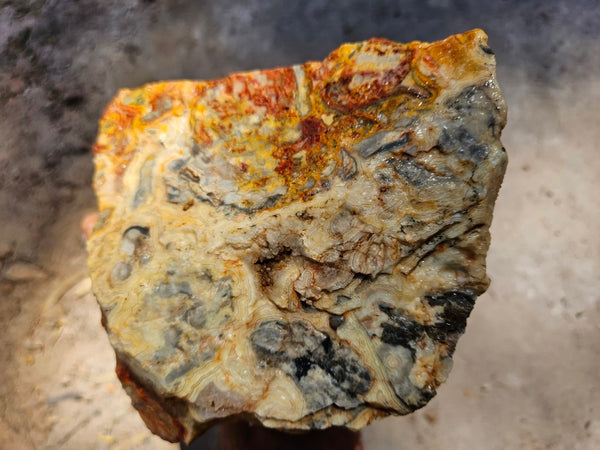 Crazy Lace Agate rough.  CLR 123