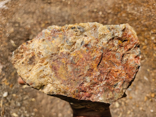 Crazy Lace Agate rough.  CLR 124