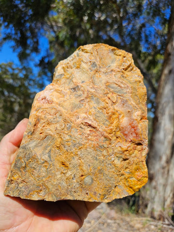 Crazy Lace Agate rough.  CLR 126