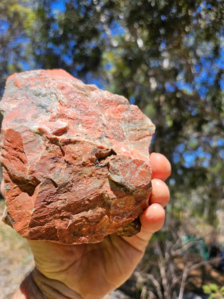 Brecciated Snakeskin Jasper rough.  SSR 161