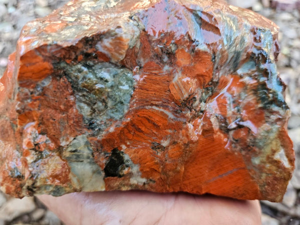 Brecciated Snakeskin Jasper rough.  SSR 161