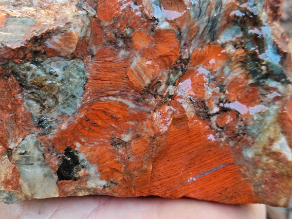 Brecciated Snakeskin Jasper rough.  SSR 161