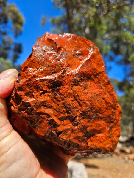 Brecciated Snakeskin Jasper rough.  SSR 162