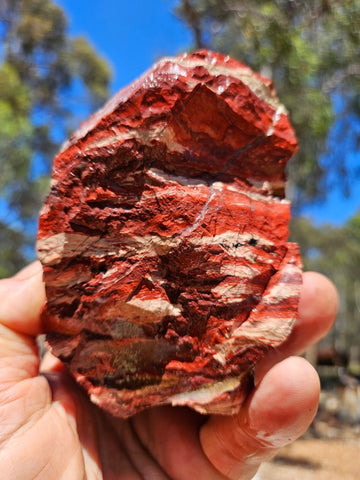 Snakeskin Jasper SSR 163 – - Main Image