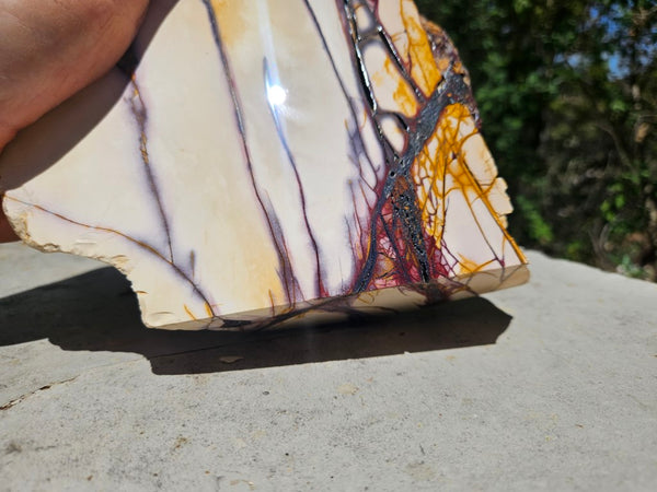 Polished Mookaite  MK530