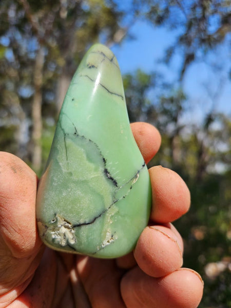 Tumble Polished Chrysoprase CHT154