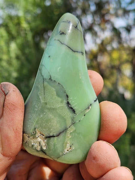 Tumble Polished Chrysoprase CHT154