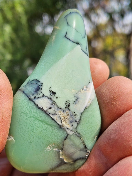 Tumble Polished Chrysoprase CHT154