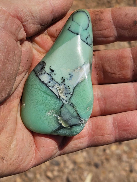 Tumble Polished Chrysoprase CHT154