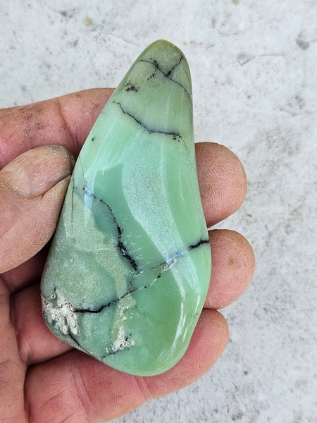 Tumble Polished Chrysoprase CHT154