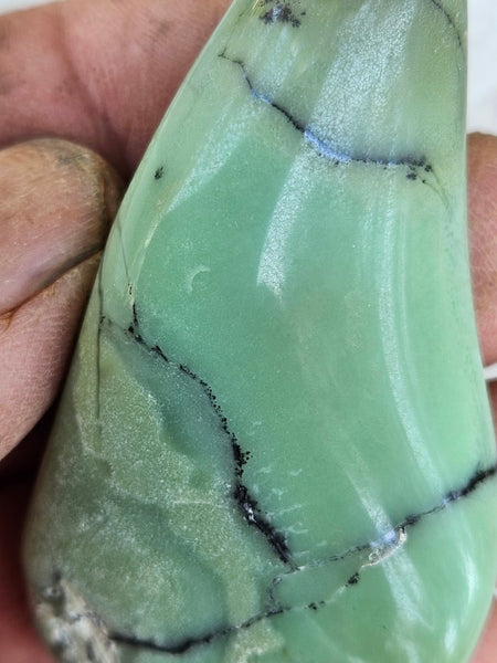 Tumble Polished Chrysoprase CHT154