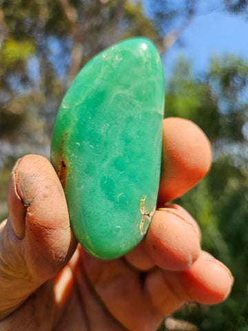 Tumble Polished Chrysoprase CHT156