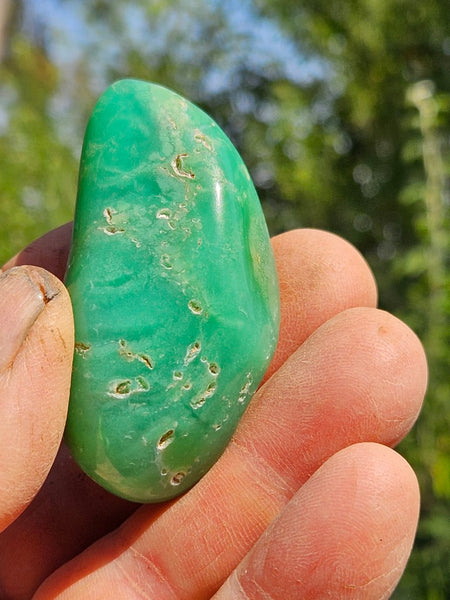 Tumble Polished Chrysoprase CHT156