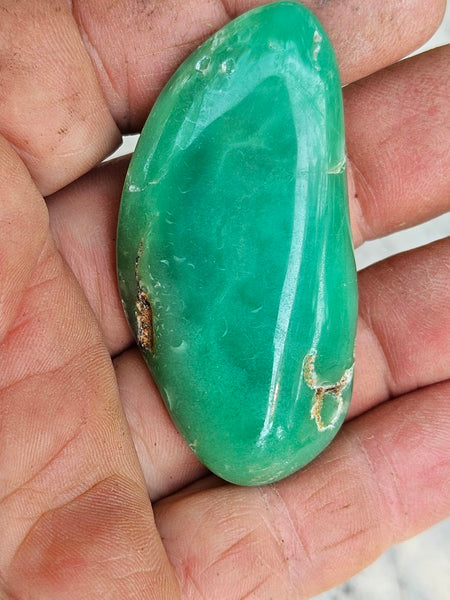 Tumble Polished Chrysoprase CHT156