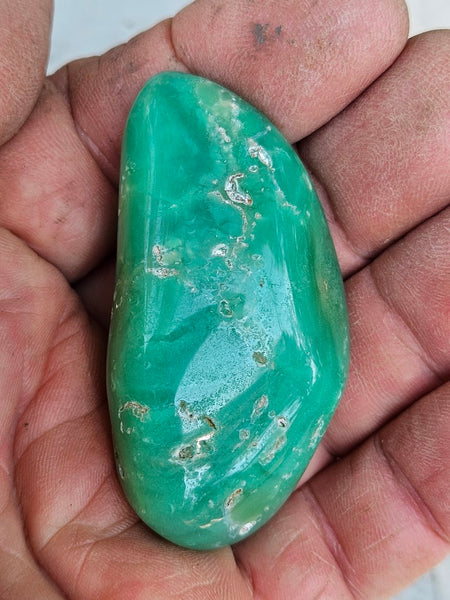 Tumble Polished Chrysoprase CHT156