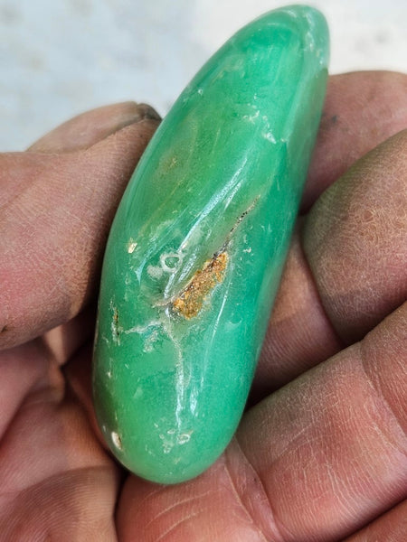 Tumble Polished Chrysoprase CHT156