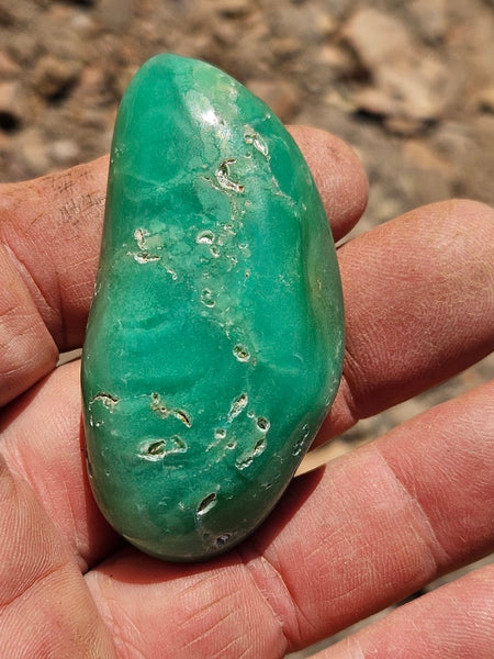 Tumble Polished Chrysoprase CHT156