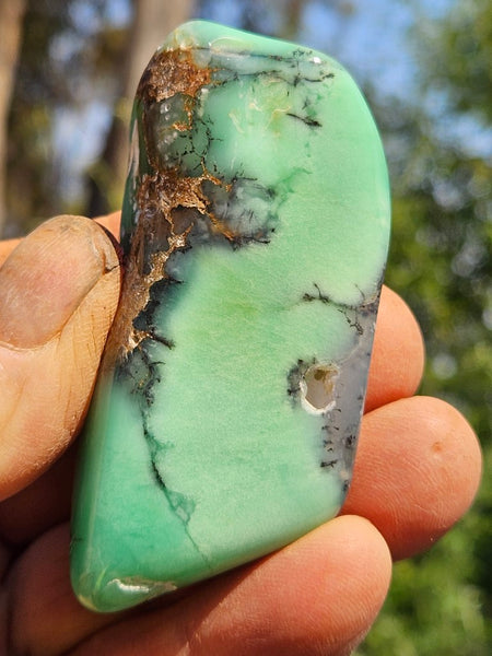 Tumble Polished Chrysoprase CHT157