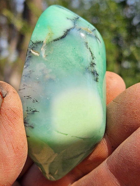 Tumble Polished Chrysoprase CHT157