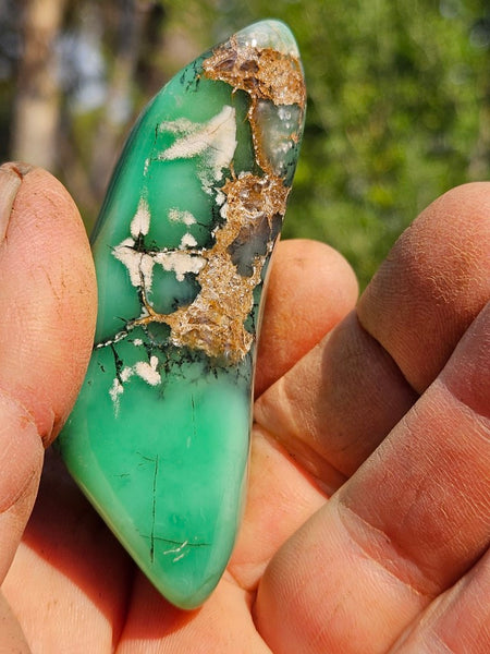 Tumble Polished Chrysoprase CHT157