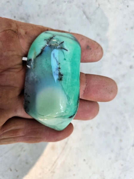 Tumble Polished Chrysoprase CHT157