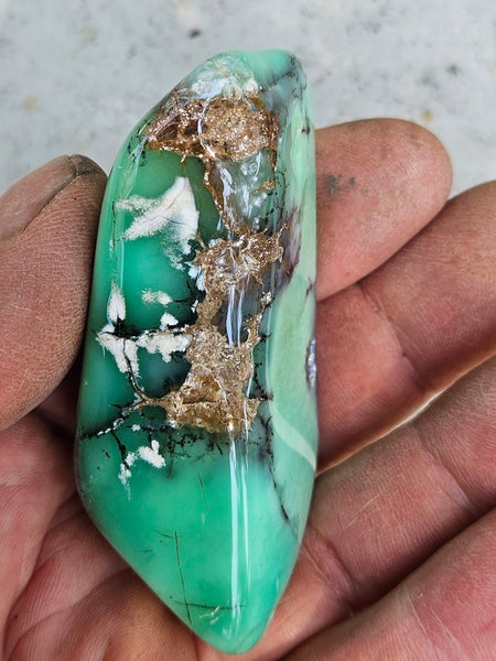 Tumble Polished Chrysoprase CHT157