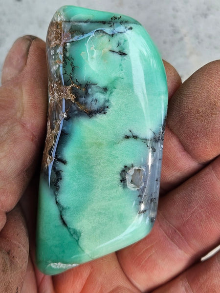 Tumble Polished Chrysoprase CHT157