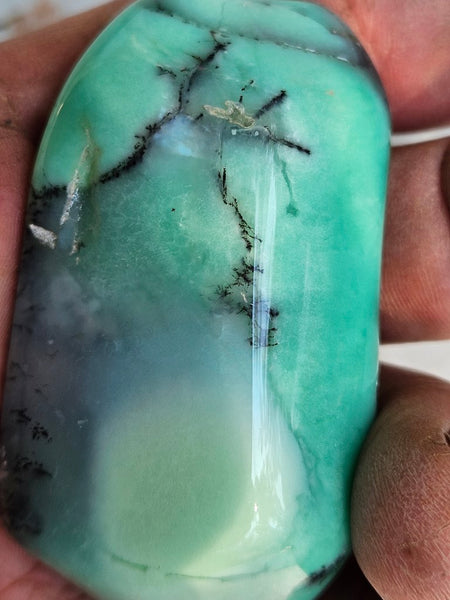 Tumble Polished Chrysoprase CHT157