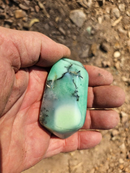 Tumble Polished Chrysoprase CHT157