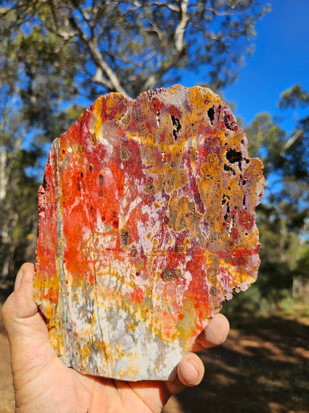 Polished Killaloe Opal slab KO114