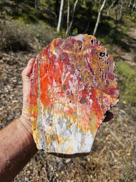 Polished Killaloe Opal slab KO114