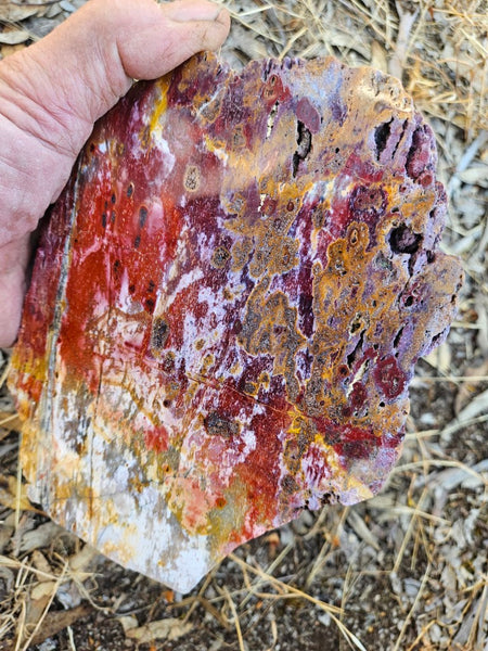 Polished Killaloe Opal slab KO114