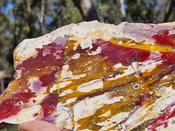 Polished Killaloe Opal slab KO113