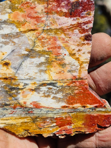 Polished Killaloe Opal slab KO117