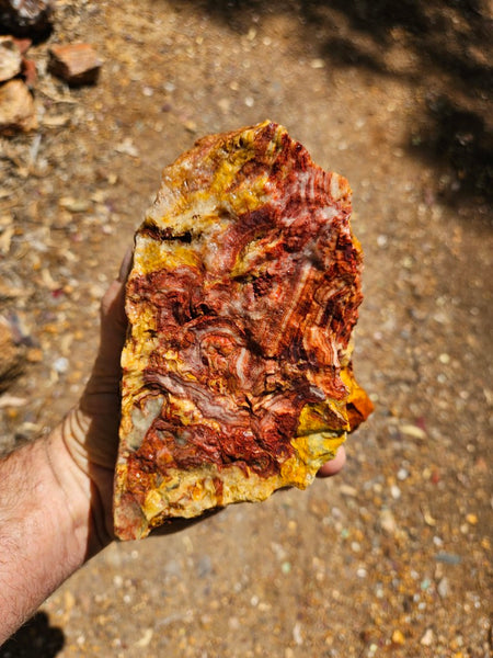 Crazy Lace Agate rough.  CLR 128