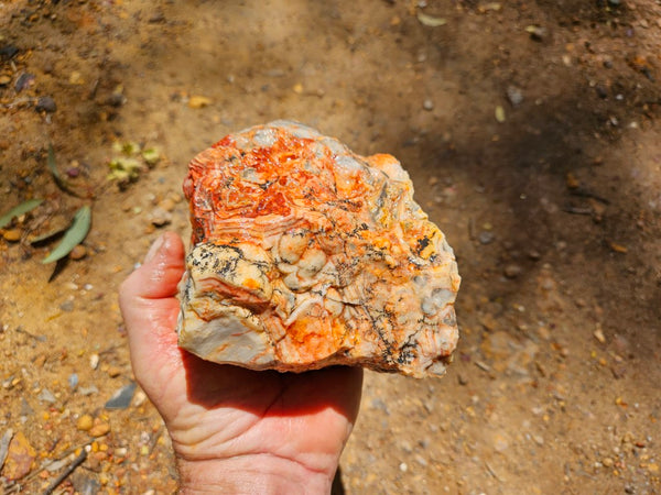 Crazy Lace Agate rough.  CLR 129