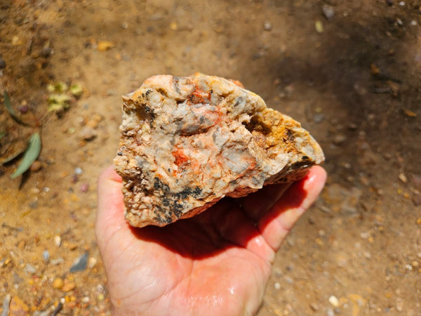 Crazy Lace Agate rough.  CLR 129