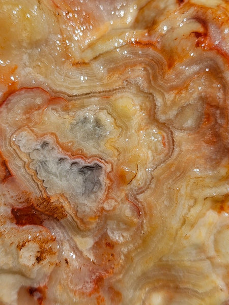 Crazy Lace Agate rough.  CLR 130