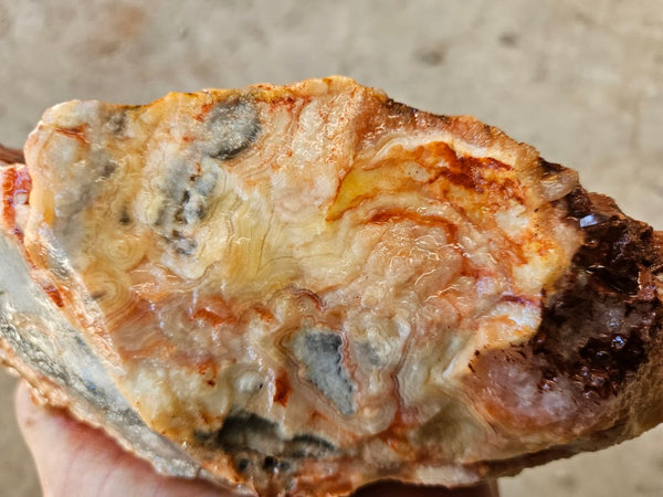 Crazy Lace Agate rough.  CLR 131