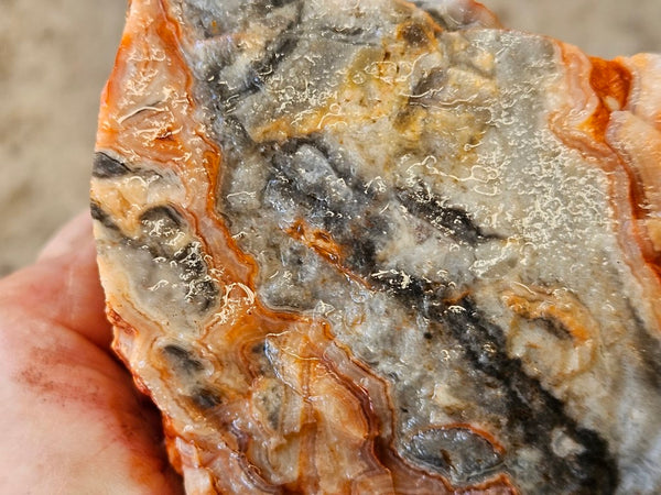 Crazy Lace Agate rough.  CLR 131